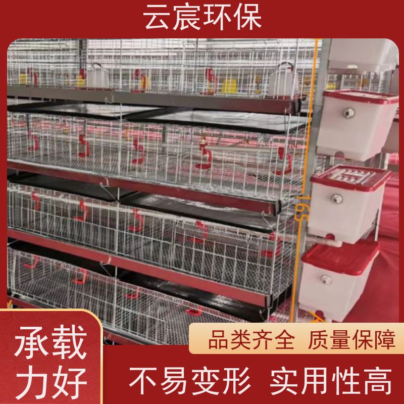 云宸环保 立式小鸡笼 大型鸡场养鸡设备 占地面积小