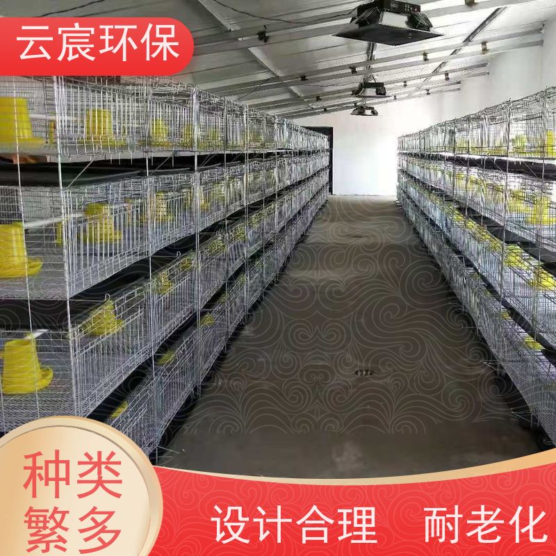 云宸环保 4层一体立式鸡笼 智能化养殖 耐腐蚀 组装灵活 结实耐用