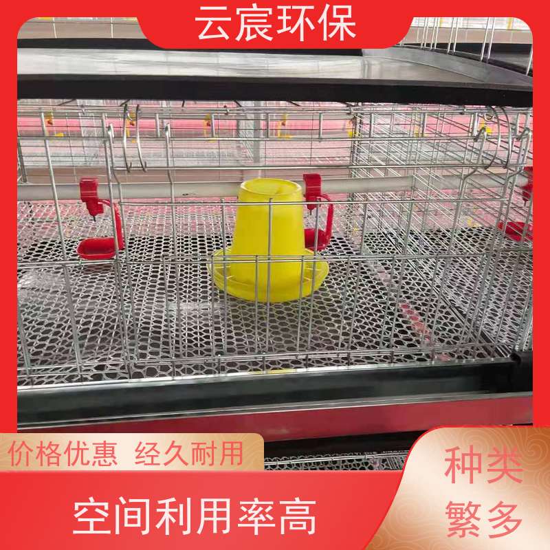 云宸环保 立式小鸡笼 智能化养殖 耐腐蚀 占地面积小