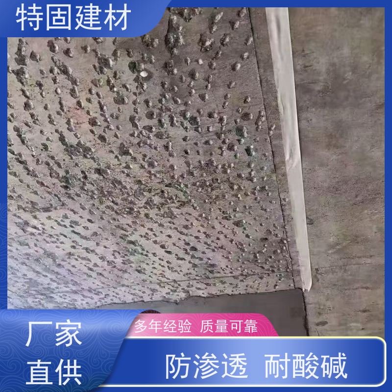环氧树脂修补砂浆 抗压耐磨 厂家直供 特固建材