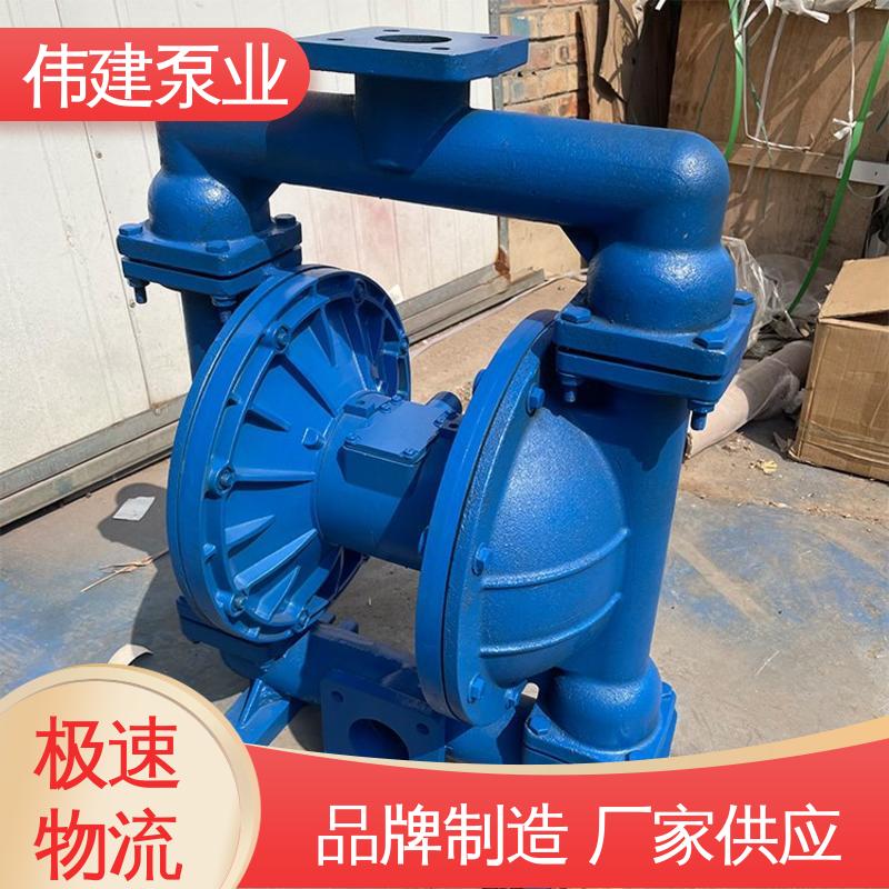 伟建生产 LC50皮带轮罗茨泵 橡胶树脂输送用 噪音小体积小 支持定制