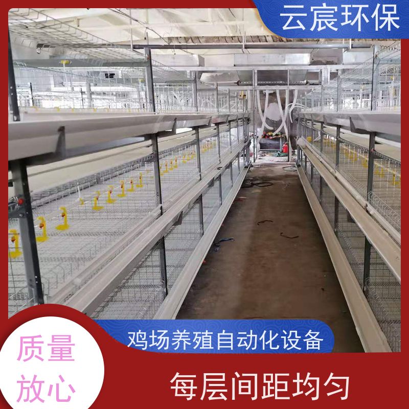 云宸环保 立式全自动肉鸡笼 改善养殖环境 坚固耐用