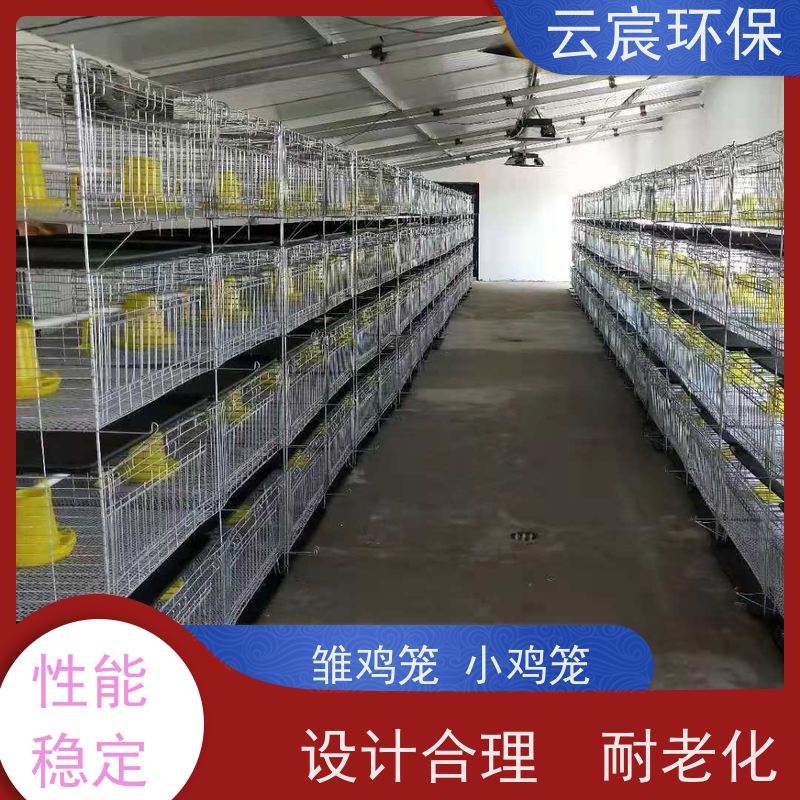 云宸环保 立式小鸡笼 改善养殖环境 空间利用率高