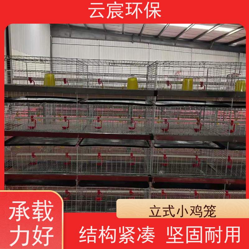 云宸环保 小鸡繁殖笼 立体式鸡舍养殖设备 结构紧凑 层层加固
