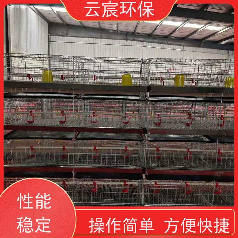 云宸环保 4层一体立式鸡笼 改善养殖环境 供水均匀可控