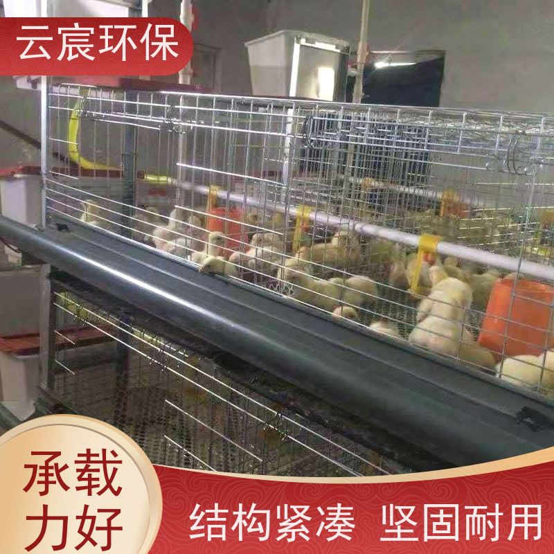 云宸环保 立式小鸡育雏笼 大型鸡场养鸡设备 承重力强 存活率高