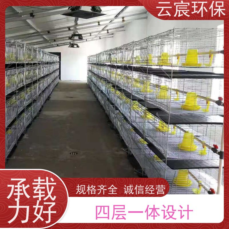 云宸环保 小鸡繁殖笼 自动化现代养殖设备 饲养密度大