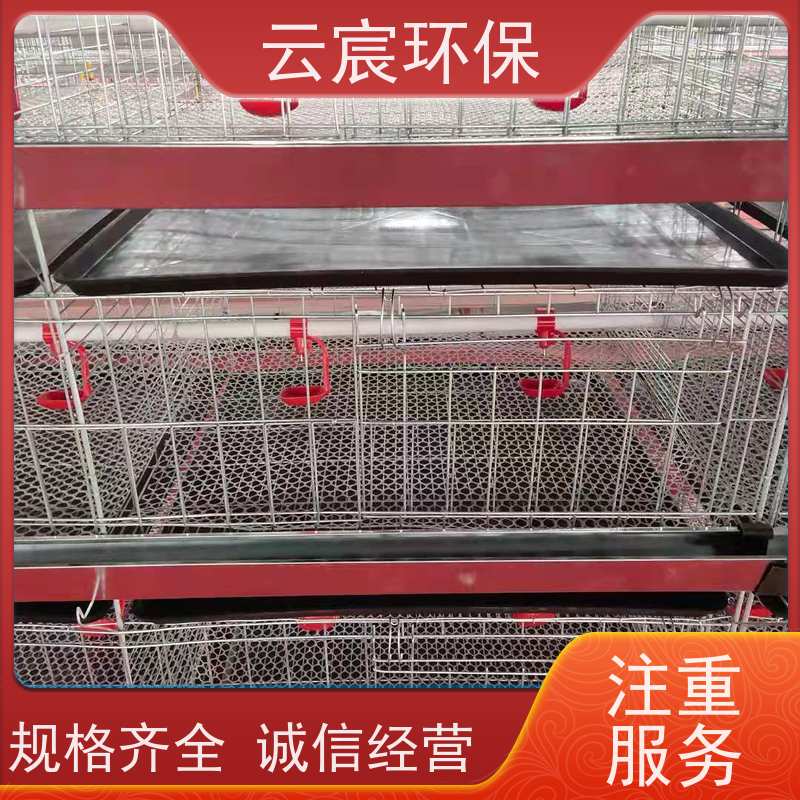 云宸环保 小型小鸡专用笼 雏鸡笼养殖设备 设计合理 承载力好