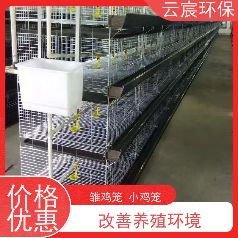 云宸环保 立式小鸡育雏笼 智能化养殖 耐腐蚀 供水均匀可控