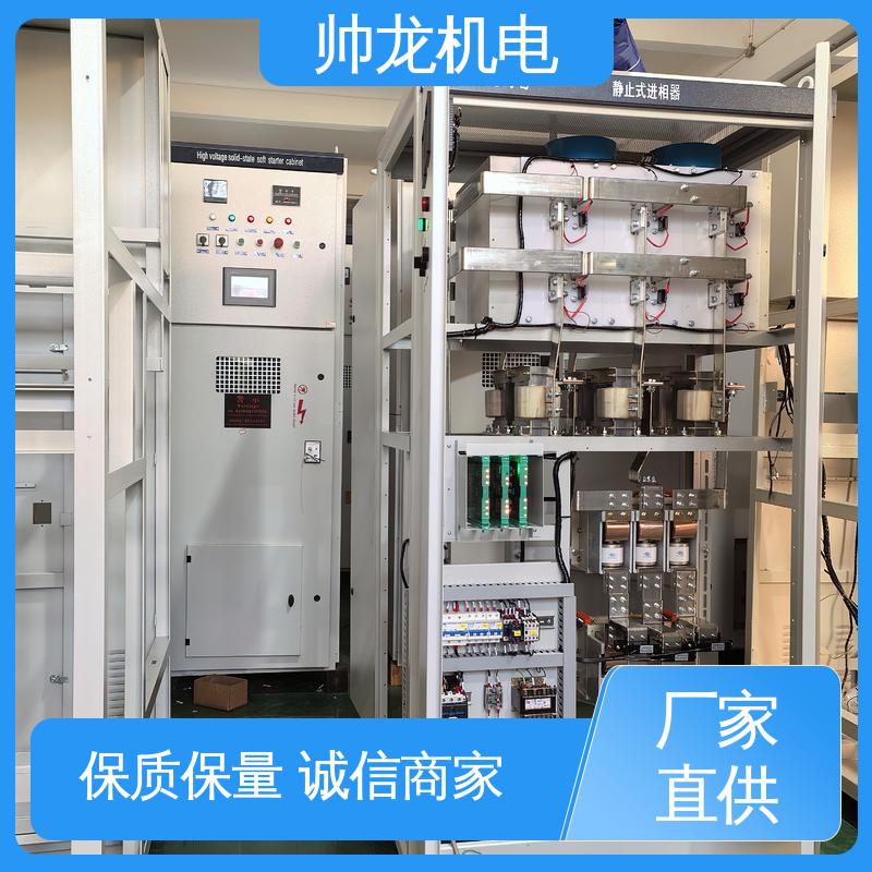 智能型/造纸厂 可就地补偿 满足不同客户需求 静止式进相器 帅龙