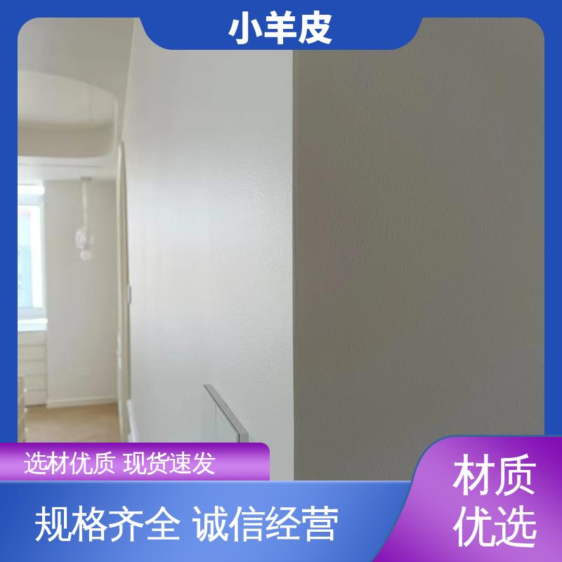 威乐森 艺术漆小羊皮 重涂间隔 ≥2小时 厂家制造供应