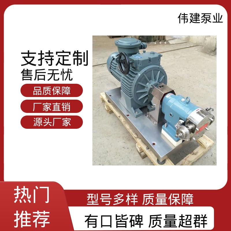 伟建生产 计量精准 防止拉丝或断流 麦芽糖浆泵 碳素合金钢材质