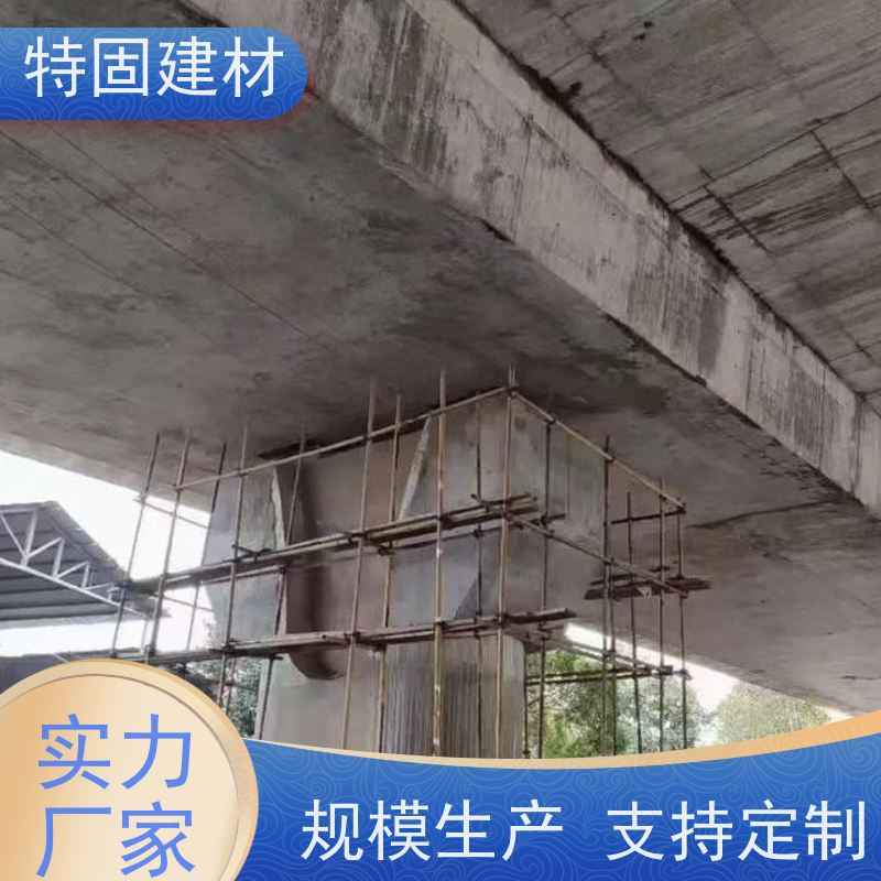 环氧树脂修补砂浆 流动性能强 工厂供应 发货及时 特固建材