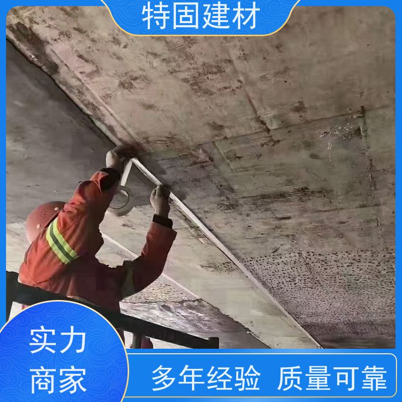 防水防腐砂浆 高流态耐腐蚀 厂家直供 特固新型建材