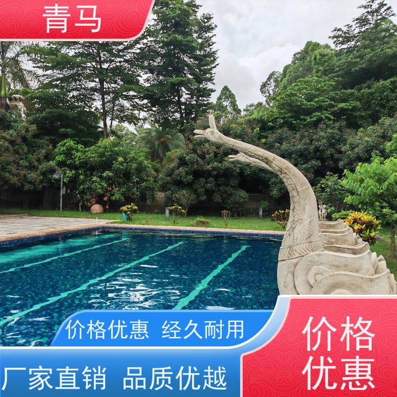 青马 海滩游泳池 适用于健身俱乐部 设计 施工 维护 一站式服务