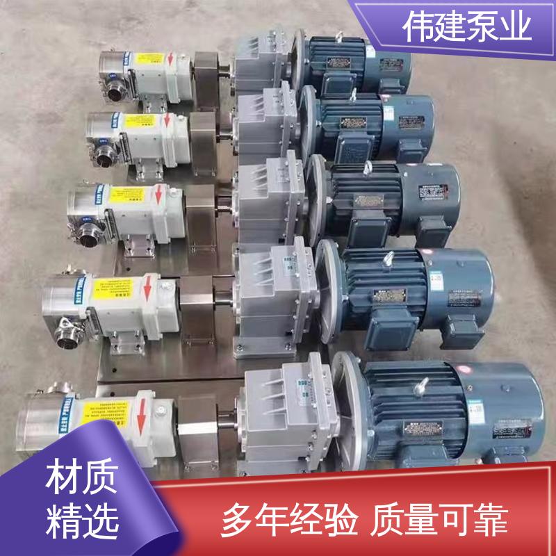 防止拉丝或断流 计量精准 鲅鱼馅灌装泵 伟建定制