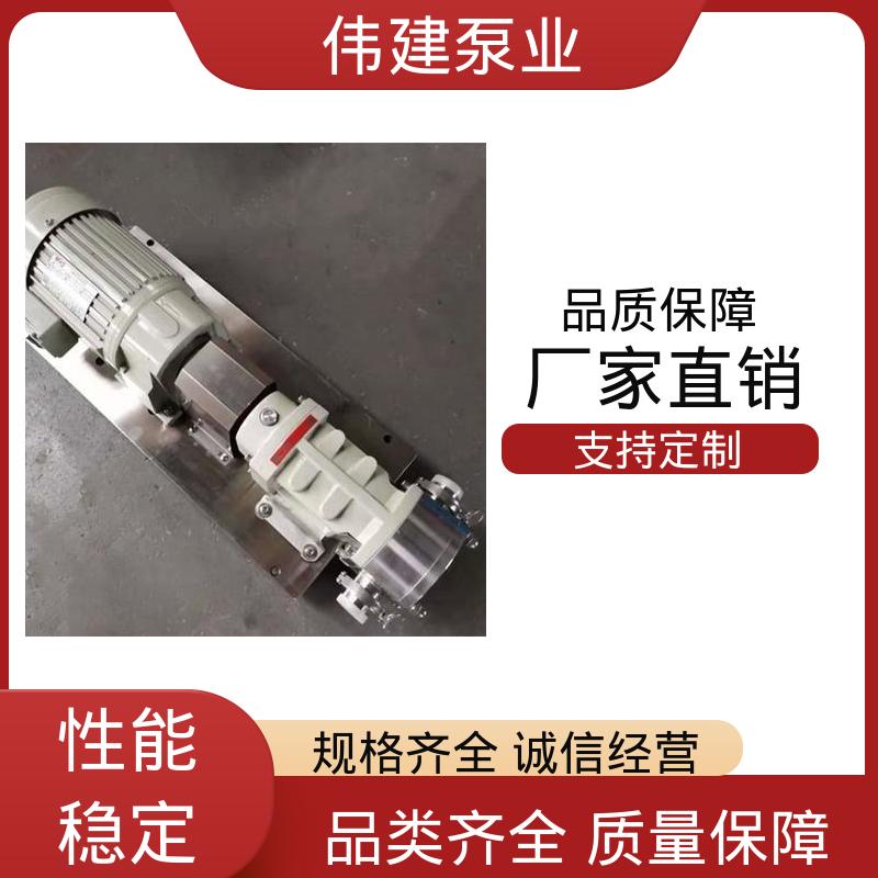 伟建定制 高粘度输送 304/316不锈钢材质 防漏设计 鲅鱼馅灌装泵