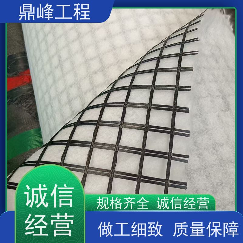 玻璃纤维经编土工格栅 韧性好 抗压强 货源充足