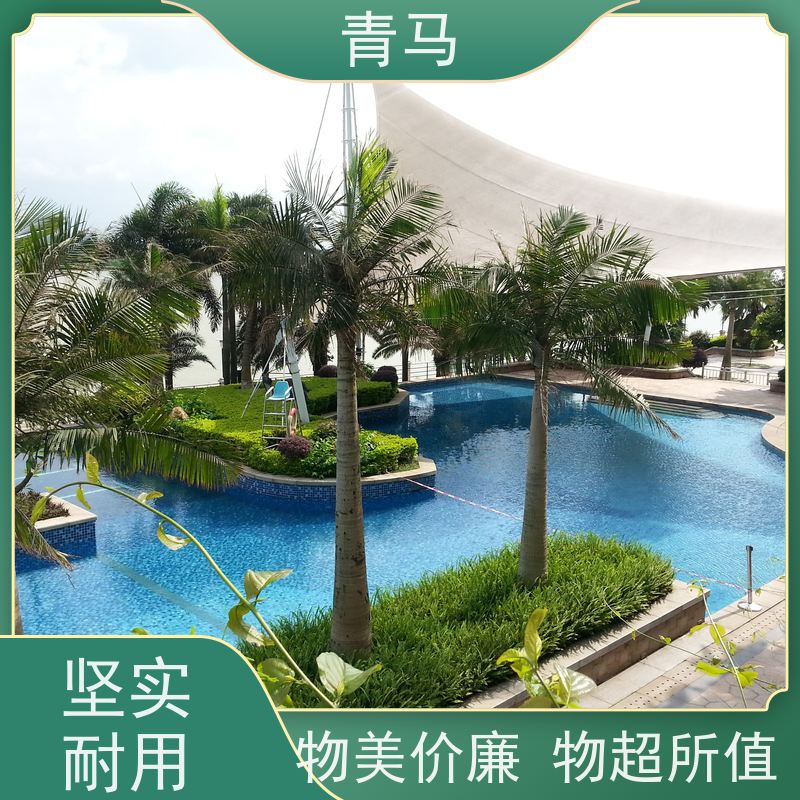 青马 游泳池 适用于星级酒店 设计 施工 维护 一站式服务