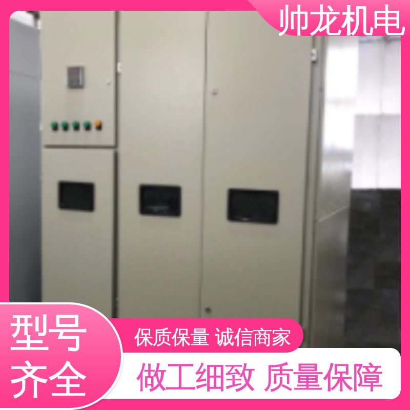 软起动器 快速响应 一站式服务 高效稳定 耐腐蚀性强 帅龙