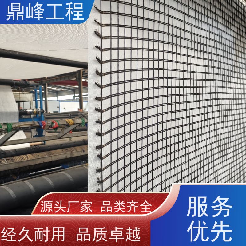 双向涤纶经编土工格栅 抗撕裂强度大 热稳定性可靠