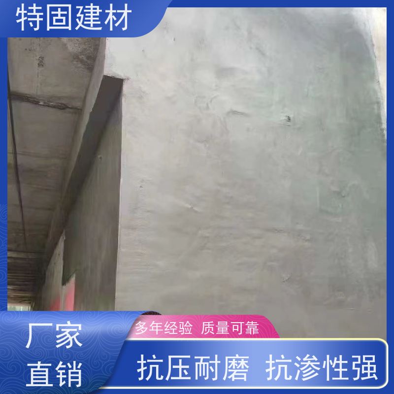 防水防腐砂浆 抗渗性强 免费指导 源头工厂 特固新型建材