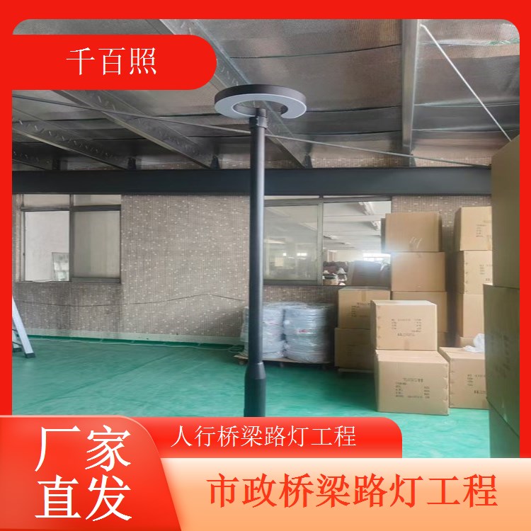 跨海桥梁路灯工程抗风抗浪耐腐蚀恶劣环境适用千百照路灯