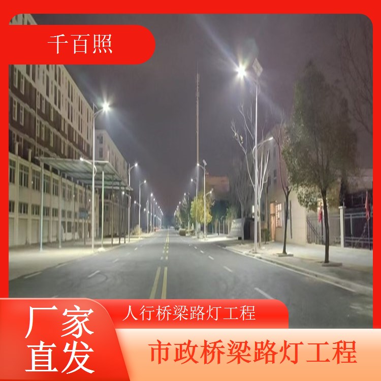 桥梁路灯配套配件灯杆法兰接线盒全套供应千百照路灯