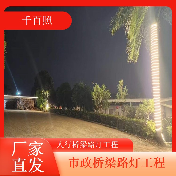 高架桥梁路灯工程大面积照明桥面无照明死角千百照路灯