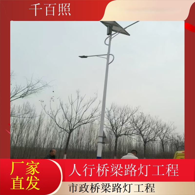 乡村桥梁路灯工程低成本高性价比乡村基建优选千百照路灯