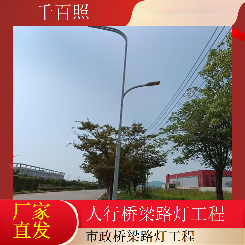 桥梁路灯升级改造项目节能高亮提升桥梁形象千百照路灯