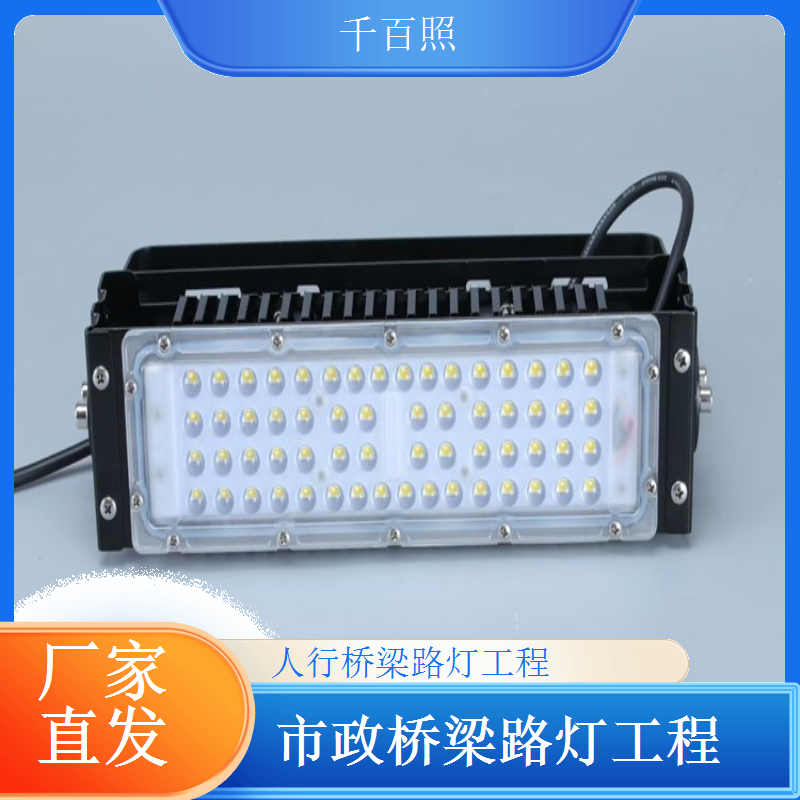 桥梁路灯成套设备一站式省心省力千百照路灯