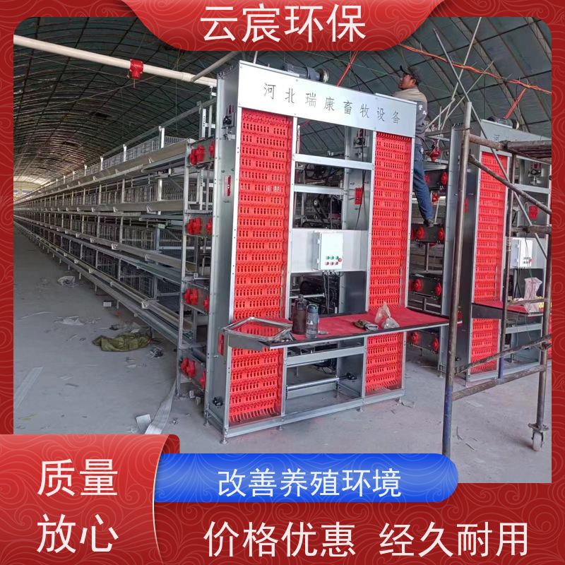 云宸环保 全自动立体小层叠蛋鸡笼 层数组数可灵活定制 结实耐用
