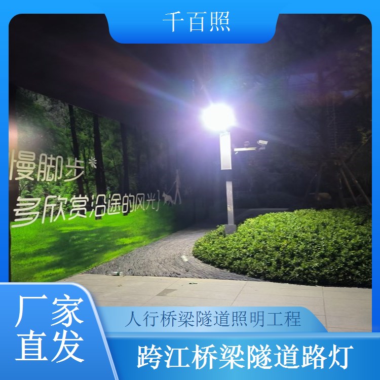 桥梁路灯隧道亮化项目 市政夜景工程 美化城市交通风貌 千百照路灯