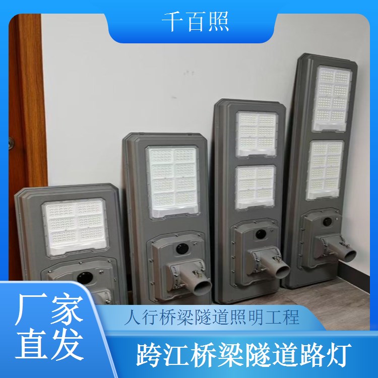 城市桥梁隧道路灯工程 铸钢灯杆 抗压抗撞 坚固耐用 千百照路灯