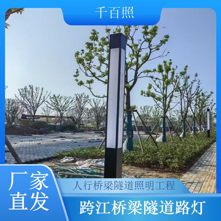 乡村桥梁隧道照明工程 低成本运维 适合乡村长期使用 千百照路灯