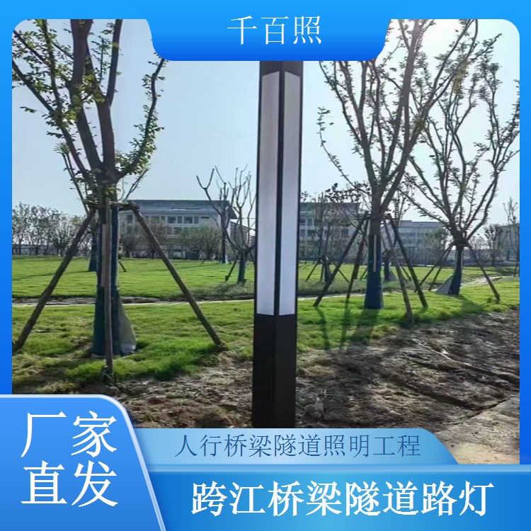 桥梁路灯隧道定制生产 规格多样 适配市政乡村各类工程 千百照路灯