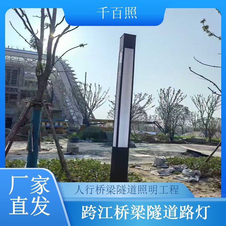 市政桥梁隧道路灯工程 防暴雨 户外恶劣天气正常亮灯 千百照路灯