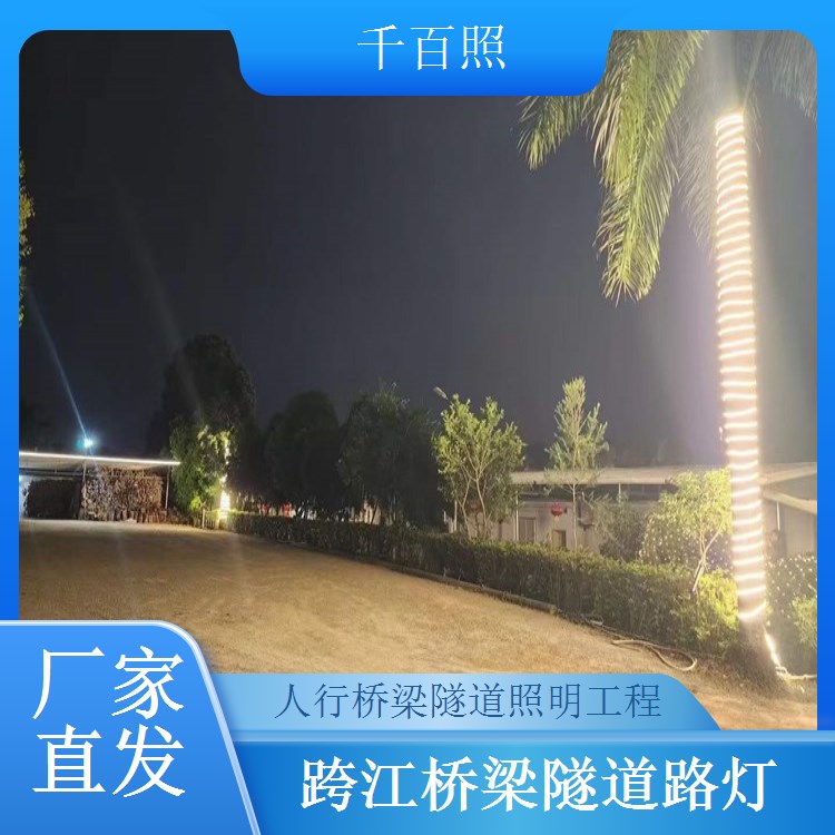 高架桥梁隧道路灯工程 大面积照明 桥面隧道无照明死角 千百照路灯