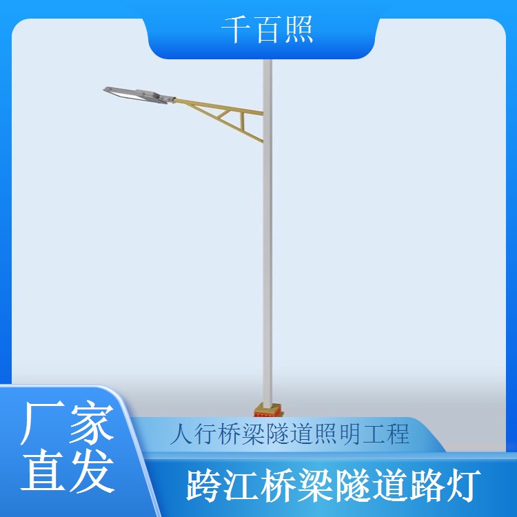 桥梁路灯隧道夜景亮化项目 多种光效切换 打造特色夜景 千百照路灯
