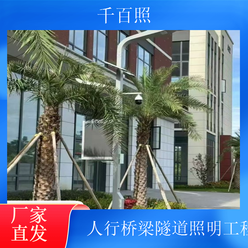高速桥梁隧道照明工程 防眩光设计 保护行车安全 千百照路灯