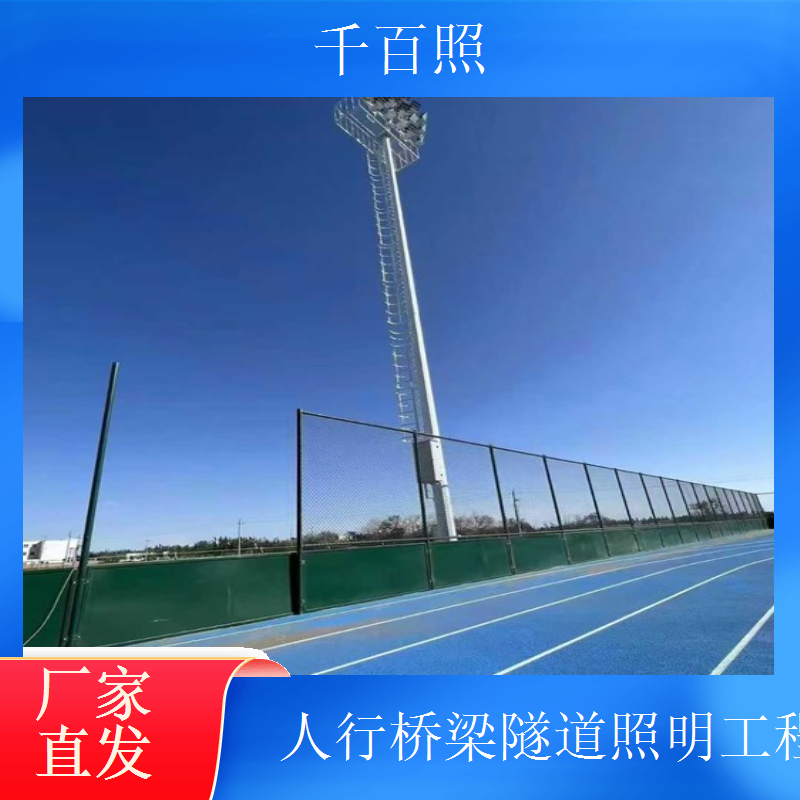 市政桥梁隧道路灯工程 防暴雨防漏电 户外安全使用 千百照路灯