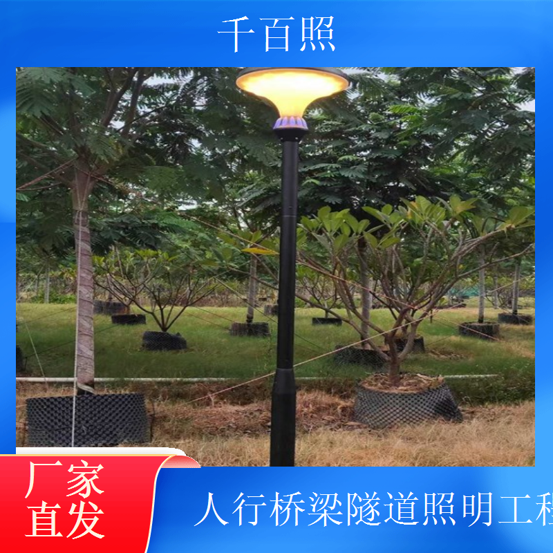 乡村桥梁隧道路灯工程 太阳能储能 阴雨天正常亮灯 千百照路灯