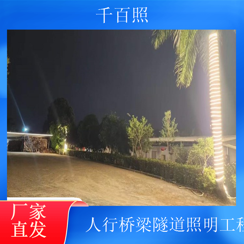 城市桥梁隧道照明工程 铸钢灯杆 坚固耐用 千百照路灯