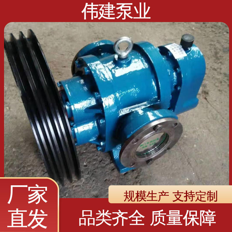 伟建生产 涂料油漆输送用 大流量 支持定制 LCX罗茨泵 