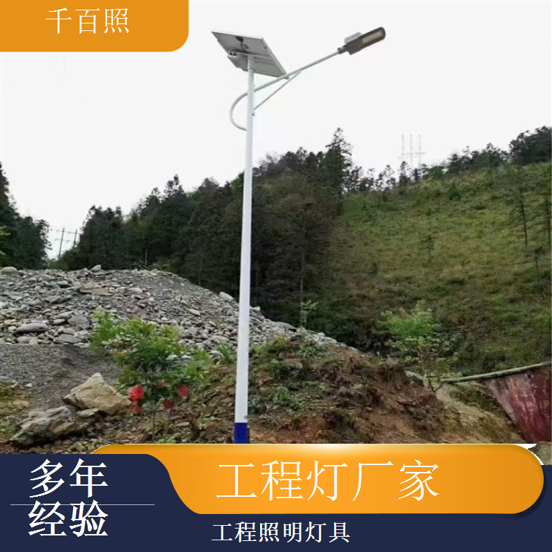 工程灯厂家生产彩色外壳灯具 景观亮化特色工程灯具千百照