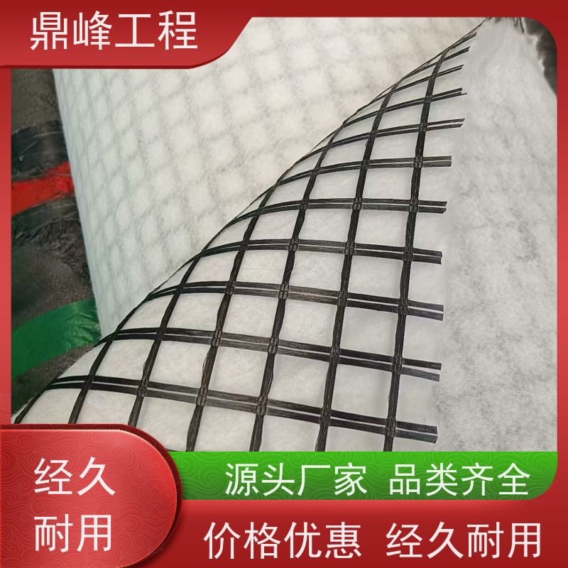 聚酯经编涤纶土工格栅 承重能力强 厂家支持定制