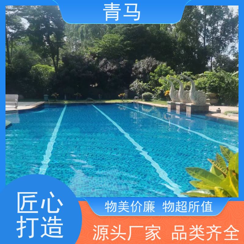 青马 公共游泳池 适用于星级酒店 现代简约 多种颜色