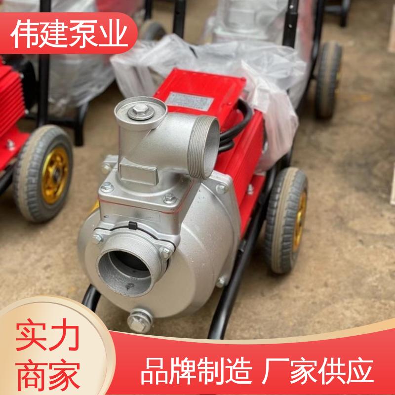 罗茨油泵 支持定制 耐高温300度 粘度物料输送用 伟建供应