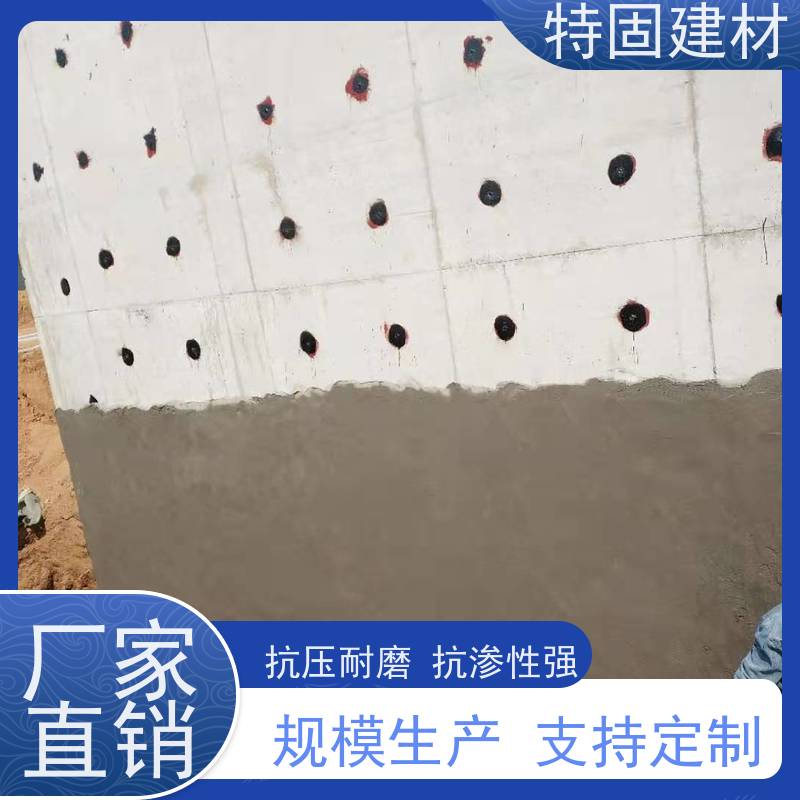 聚合物修补砂浆 高流态耐腐蚀 长期生产供应 特固建材